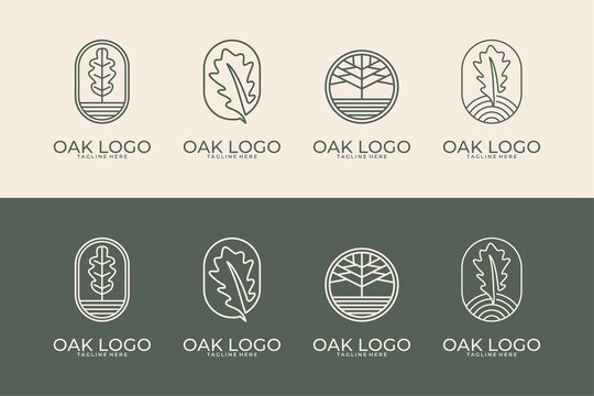oak with line art style logo design collection