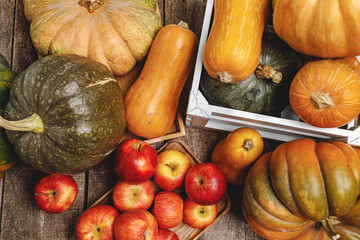 Pumpkins and red apples on wooden background