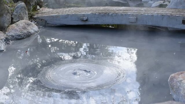 別府地獄めぐり・鬼石坊主地獄