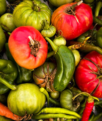 Closeup of colorful and fresh vegetables
