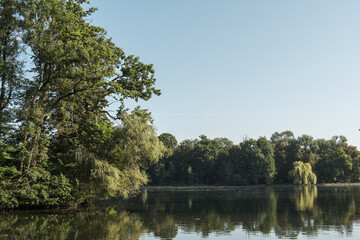 Fototapeta na wymiar Uferlandschaft / Flußlandschaft: Bäume und Sträucher an einem Gewässer
