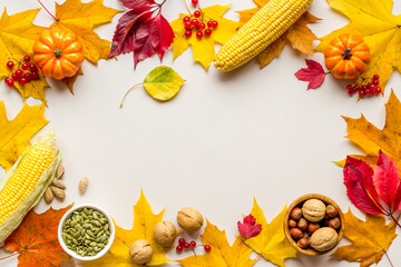 Frame of harvest or Thanksgiving background with autumnal fruits and leaves