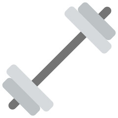 
Weightlifting or weight training equipment, dumbbell
