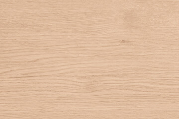 Light Wooden Background. Old Wood.