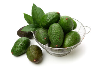 Avocado on a white background