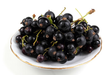 Black currant