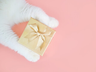 White cat paw and golden gift box on pink background. New year, christmas, holiday and pets concept. Minimalism, top view, copy space.