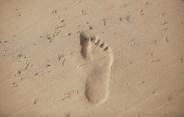 close up photography of a female foot print, on a bright sandy beach, outdoors on a sunny day in the Gambia, Africa