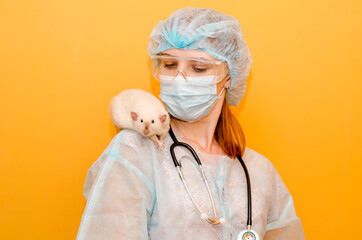 Female veterinarian, stands with rat siam on shoulder, in protective suit, glasses, stethoscope on yellow background