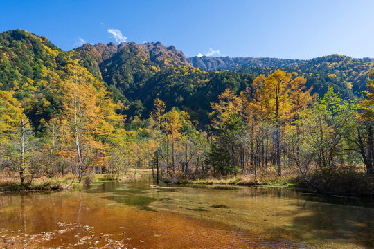 田代池 Images – Browse 882 Stock Photos, Vectors, and Video | Adobe Stock