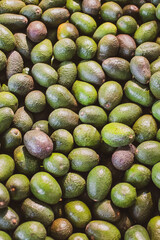 perfect green avocados in the natural organic market