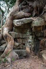 Angkor Wat Temple in the Ancient city of Angkor Thom, Siem Reap, Cambodia 