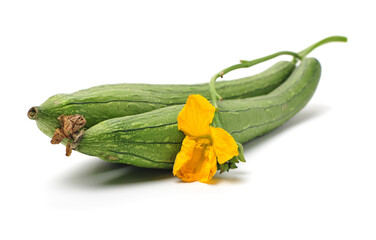 fresh loofah on the white background 
