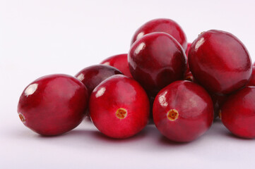 Fresh wild cranberries. Studio shoot.