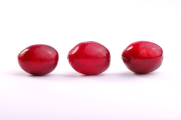 Fresh wild cranberries. Studio shoot.