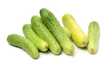 Green cucumber on the white background
