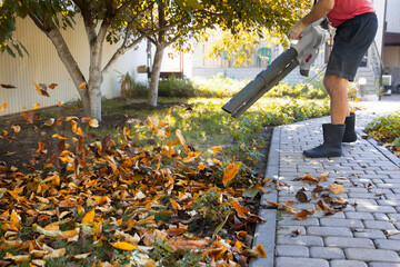 man uses a blower, a vacuum cleaner works in an autumn garden, blowing off fallen leaves from a garden path