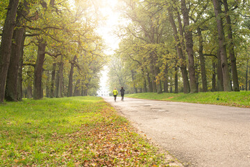 Fototapeta premium Women run at dawn in the morning park. Morning jogging in the fresh air. Cardio workout.