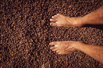 Male foot on dry coffee seed