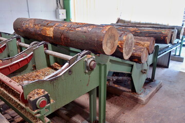 Primary wood processing. Sawing logs on a band sawmill. Preparation of the wooden logs to sawing on a cutting line on a saw mill. Lumber industry. A pile of logs lie on a platform. 