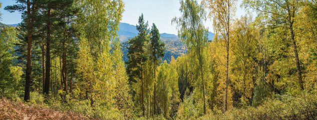 Sunny autumn day in the Sayan mountains, Siberia. Panoramic view. 