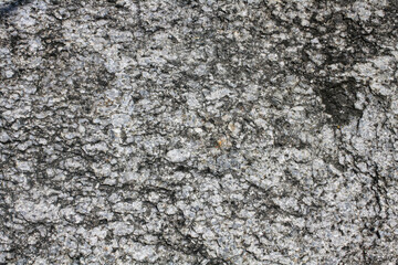 Orthogneiss surface. Gneissic texture. Metamorphic rock .