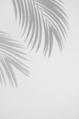 Realistic and organic tropical leaves natural shadow overlay effect on white texture background.