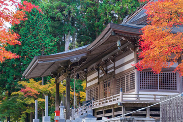 秋の紅葉が美しい雲辺寺