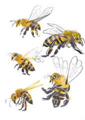 A set of bees in different angles. Watercolor illustration jpg