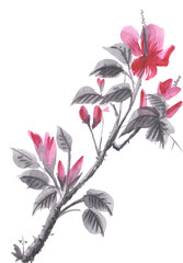 Blossom Flowers Branch Hibiscus. Watercolor illustration, jpg