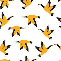 Ducks, birds animal vector fashion isolated on white background. Concept for wallpaper, wrapping paper, cards  