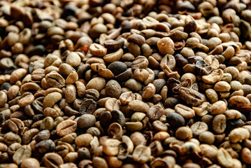coffee beans background