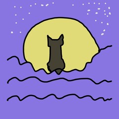 cat on the moon