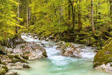Bachlauf im Herbst II