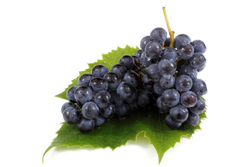 Black wine grape on leaf