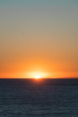 Fototapeta premium the sun rising over the horizon of the sea