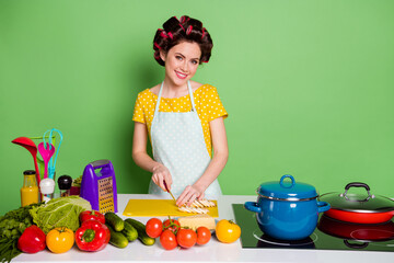 Photo of positive gourmet girl cut vegetables pepper tomato chopping board prepare dish supper wear...