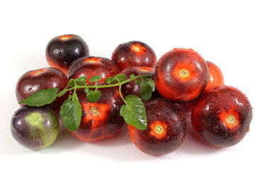 Dark tomatoes and leaf