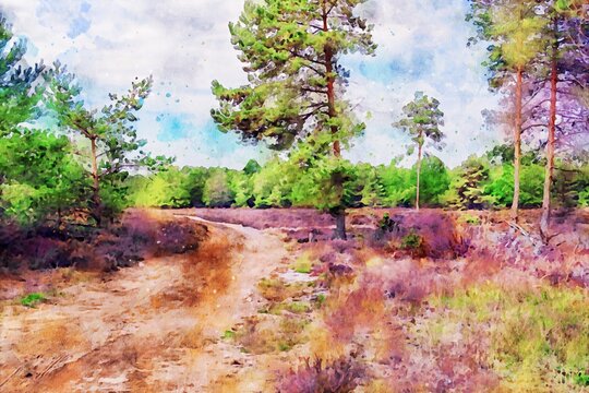 Watercolor illustration of heath flower landscape in Germany.