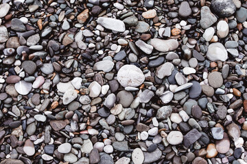 Sea wet stones on the coast