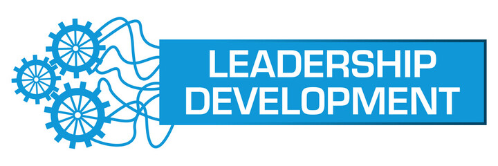 Leadership Development Gears Random Lines Box Horizontal 