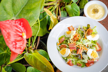 close-up spaghetti on lunch