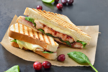 Toast mit gegrillter Hähnchenbrust, Blattspinat , Cranberries  und Käse frisch aus dem Kontaktgrill - Pressed toast with grilled chicken breast, spinach, cranberry sauce and cheese 