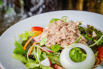 pork salad and vegetable in white dish