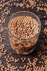 top view on the lentils are soaked in a glass of water.