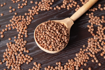 wooden spoon with lentil beans