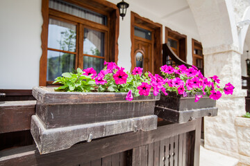 Fototapeta na wymiar Beautiful colorful flowers at wooden fence