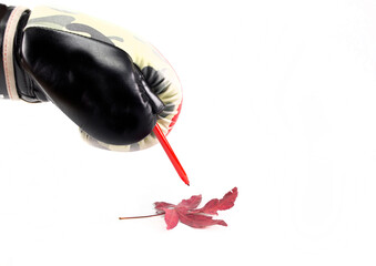 Guante de boxeo con un rotulador  rojo y una hoja de otoño sobre fondo blanco