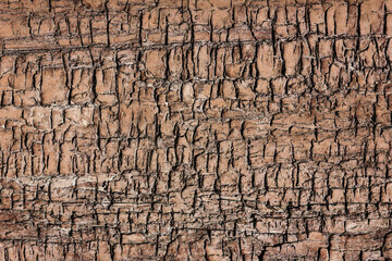 Cracked wood texture. Old peeling paint background. Grunge wooden wall background. Broken wood desk structure. Vintage board pattern design. Tree bark design. Vintage wood pattern.