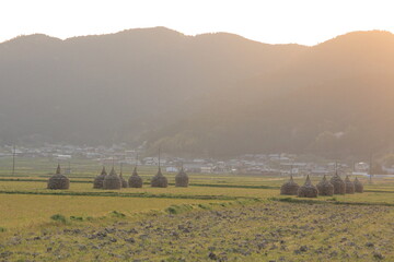 夕暮れ時　わらぐろのある風景